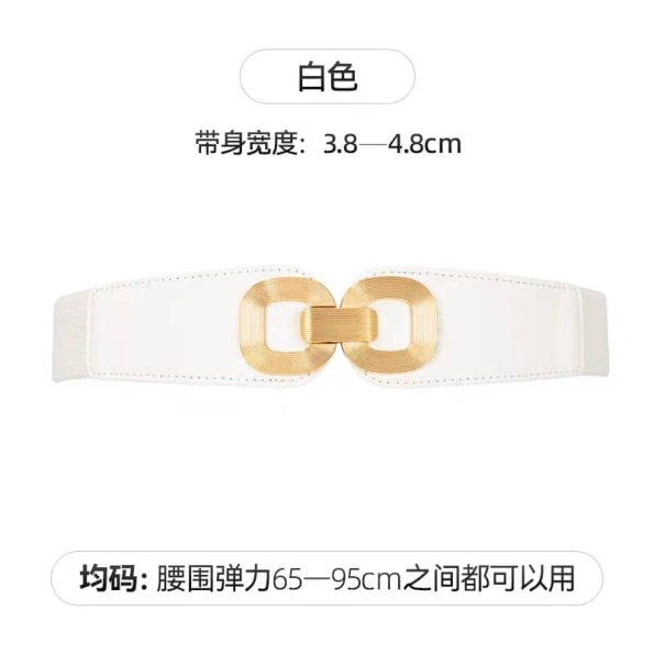 精美腰带 (X250)