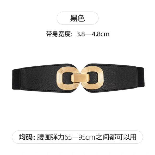 精美腰带 (X250)