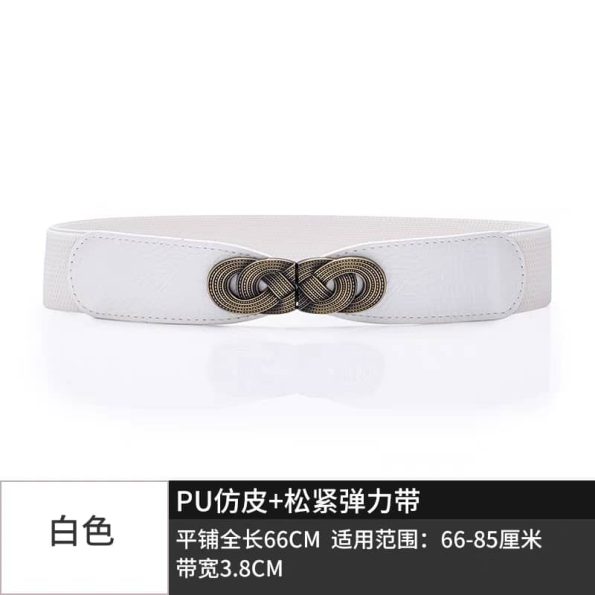 精美腰带 (X256)