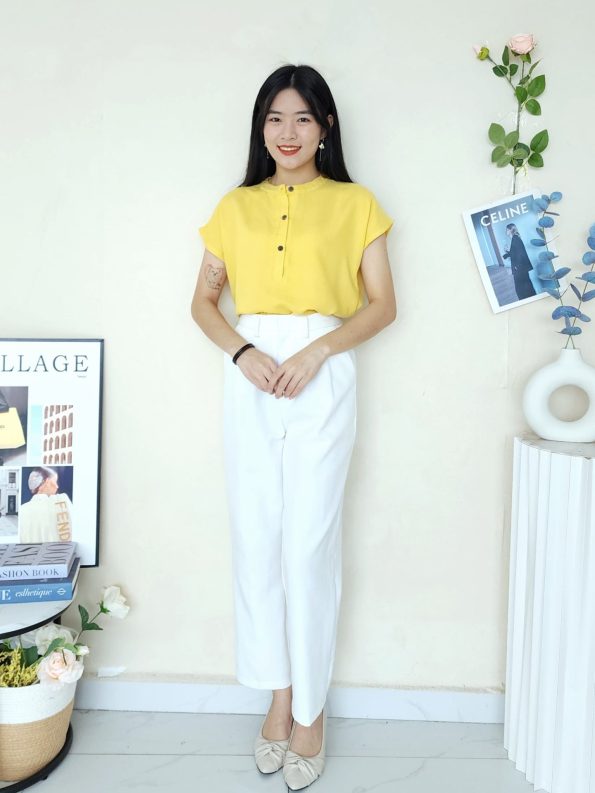 Premium Linen Top (211)
