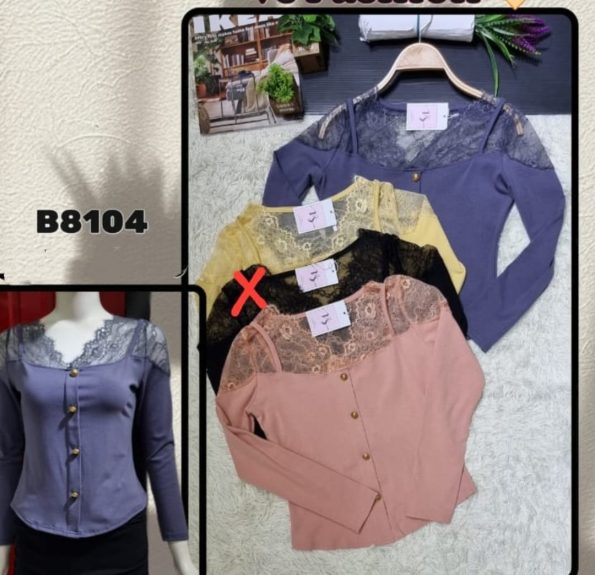 (B8104)