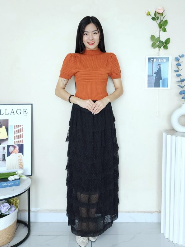高品层次网纱裙 (8942)